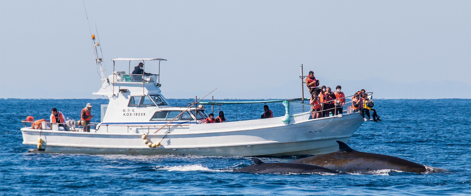 自然を楽しむコース