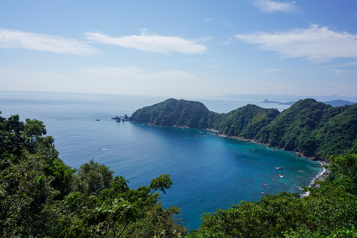 横浪黒潮ライン